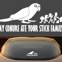 Conure Decal Sticker