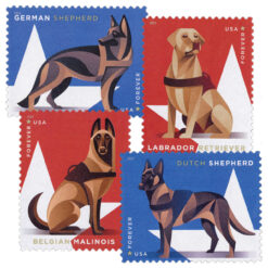 Five sheets of 20 U.S. Military Working Dogs Forever Stamps, featuring four dog breeds: German Shepherd, Labrador Retriever, Belgian Malinois, and Dutch Shepherd. Each stamp has a red or blue background with a white star, symbolizing the American flag. The stamps honor the service and bravery of military working dogs in the U.S. military.