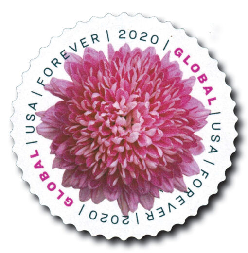 2020 Chrysanthemum Global Forever Stamp featuring a pink chrysanthemum on a white background.