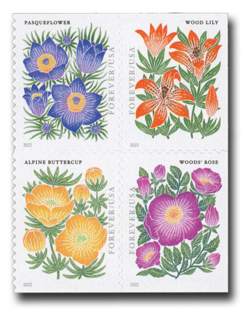 2022 Mountain Flora Forever Stamps showcasing four alpine wildflowers, including pasqueflower, wood lily, alpine buttercup, and Woods' rose.