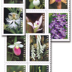 2020 Wild Orchids Forever Stamp featuring 9 orchid species native to the U.S. with photographs by Jim Fowler, showcasing the beauty and rarity of wild orchids.