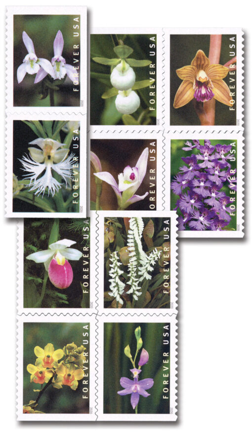 2020 Wild Orchids Forever Stamp featuring 9 orchid species native to the U.S. with photographs by Jim Fowler, showcasing the beauty and rarity of wild orchids.